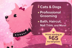 Request Quote: Mobile Grooming Services for Cats and Dogs - Houston, TX