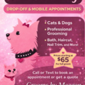 Mobile Grooming Services for Cats and Dogs - Houston, TX