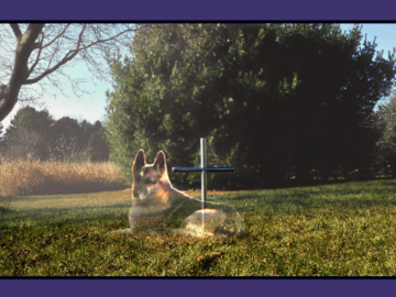 Apollo his memory will never be forgotten.  Satin Stainless Everlasting Cross outdoor memorial.