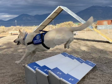 AkioYodasan jump training in agility