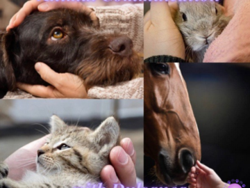 Animal communication services
