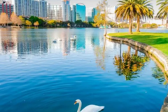 Request Quote: Professional Pet Courier Service - Nationwide