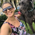 Five-Star Dog Walks & 1-on-1 Care for Your Pup   - Doral, FL
