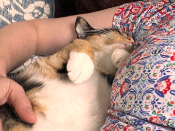 My co-worker, Morgana