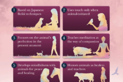 Request Quote: Animal Reiki Meditation - Nationwide
