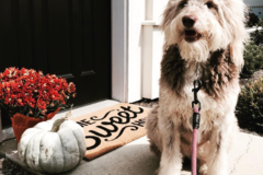 Request Quote: Certified Grief Educator & Clinical Mental Health Counselor  - Nationwide