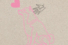 Request Quote: Nose to Tail Pet Massage - Ashland, MA