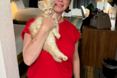 Request Quote: Farmer's Daughter Flight Nanny Service - Nationwide