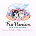 FurPanion Pet Transport | In-Cabin Flight Nanny Services - Nationwide