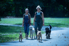 Request Quote: Root-Level Healing Through Herbalism, Homeopathy & Therapeut - Nationwide