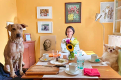 Request Quote: Therapeutic Animal Nutrition Consultations - Nationwide