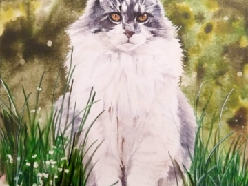 Puffball - Watercolor Pet Portrait