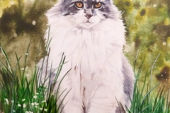 Request Quote: Watercolor Pet Portraits - By Hadyn - Nationwide