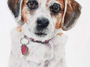 Phineas - Watercolor Pet Portrait