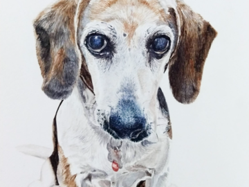 Mordecai - Watercolor Pet Portrait