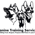 Canine Training Services  - Tacoma, WA