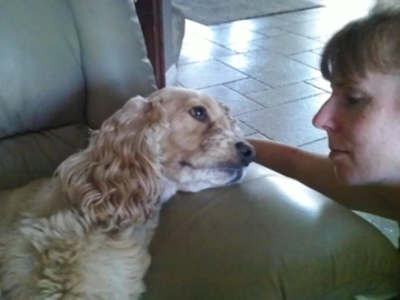 I didn't say you could stop petting my head.