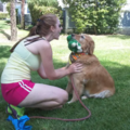 Reliable, Caring & Fun Pet Sitter/Dog Walker - Temple City, CA