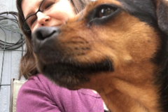 Request Quote: Online Animal Pet Reiki - Rescue Specialist - Nationwide