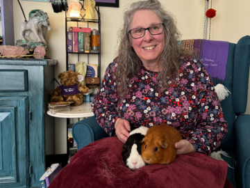 Guinea pigs I read in my office