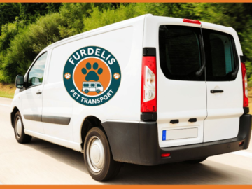 2025 Ford Transit Van