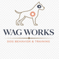 Optimal Dog Behavioral Wellness Programs - San Marcos, CA
