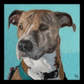 Custom Hand Painted Pet Portraits - Nationwide