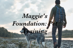 Request Quote: Maggie's Foundation: Pet Training, LLC - Trafalgar, IN