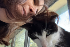 Request Quote: Compassionate - Solutions Driven - Cat Behavior Specialist - Nationwide