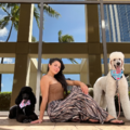 Naples Dog Academy - Certified Dog Trainers - Naples, FL