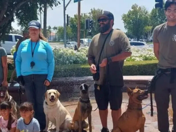 Group Dog Training Session