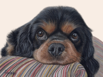 Pastel portrait by Alexandra Rey