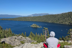 Request Quote: First Cadet Pet Transport - Winter Park, FL