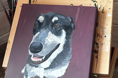 Request Quote: Custom Dog Portraits - Newport, OR
