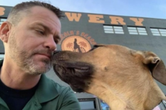 Request Quote: Professional Reset Options PRO-K9 Training - Oakland Park, FL