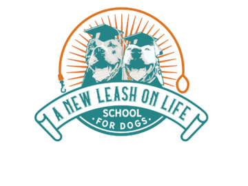 dog training oakland county michigan