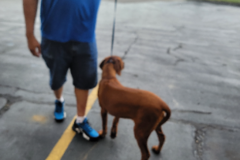 Request Quote: Coast to Coast - Nationwide