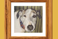Request Quote: Custom Hand Painted Dog and Cat Portraits - Nationwide
