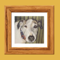 Custom Hand Painted Dog and Cat Portraits - Nationwide
