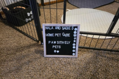 Request Quote: Pet Love - Nala And Sadie's Home Pet Care - West Allis, WI