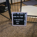 Pet Love - Nala And Sadie's Home Pet Care - West Allis, WI