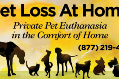 Request Quote: Pet Loss At Home - Dr. Alex Taub - In-Home Pet Euthanasia - Pasadena, CA