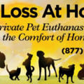 Pet Loss At Home - Dr. Alex Taub - In-Home Pet Euthanasia - Pasadena, CA