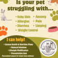 Holistic Pet Health Coach - Nationwide