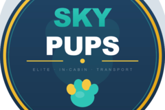 Affordable Elite in-cabin puppy transport (Confirm Seats) - DFW Airport, TX