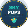 Sky Pups - Flight Nanny In-Cabin Puppy Transport - Nationwide