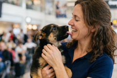 Request Quote: Omni Pet Transport - Domestic & International  - Nationwide