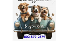 USDA registered, nationwide, transport, taxi - Catawba, SC