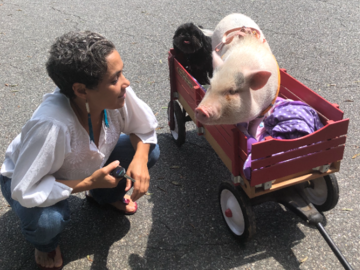 Serving All Animals Big and Small