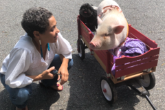 Request Quote: Pet Shaman and Animal Communicator - Nationwide